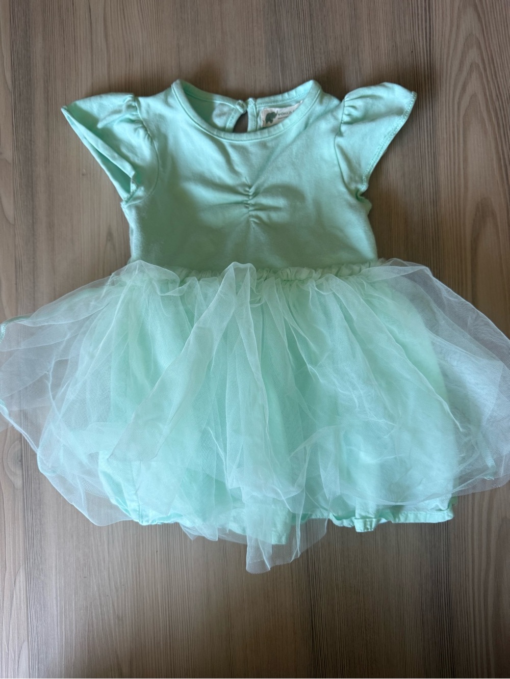 Girls Mint Tulle Party Dress with Flutter Sleeves